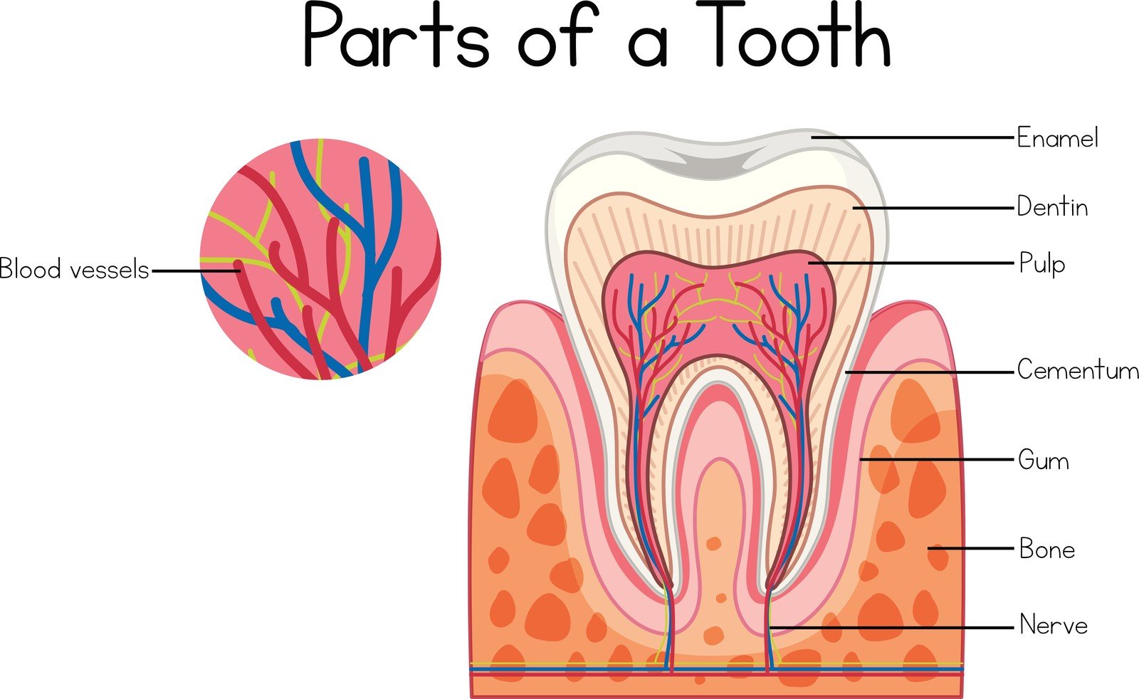 what are the advantages of root canal therapy